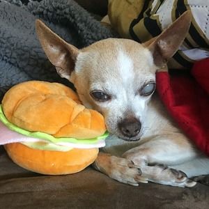 Meet your Posher, Robyn